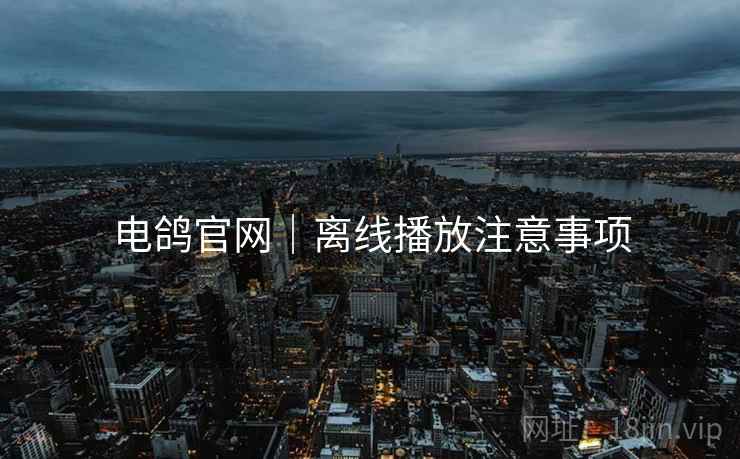 电鸽官网｜离线播放注意事项