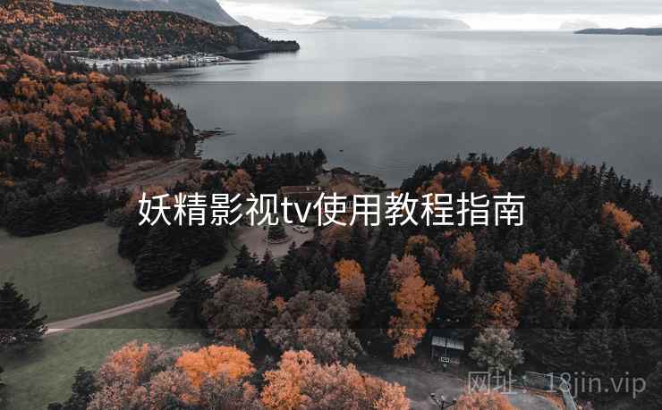 妖精影视tv使用教程指南