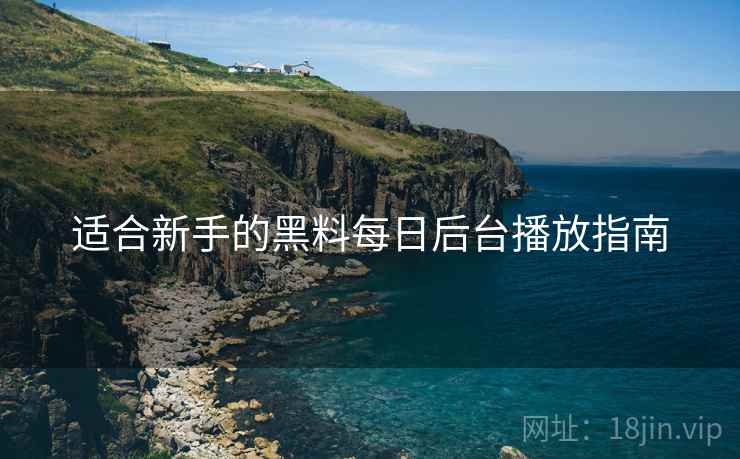 适合新手的黑料每日后台播放指南