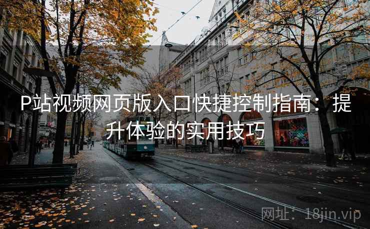 P站视频网页版入口快捷控制指南：提升体验的实用技巧