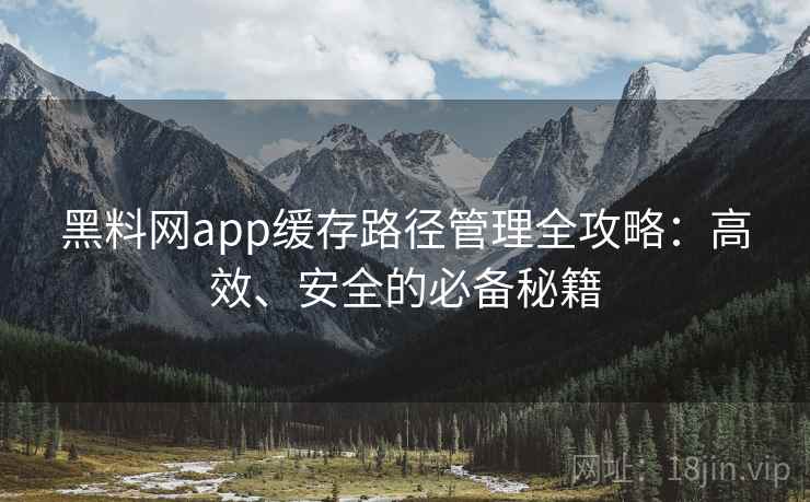 黑料网app缓存路径管理全攻略：高效、安全的必备秘籍