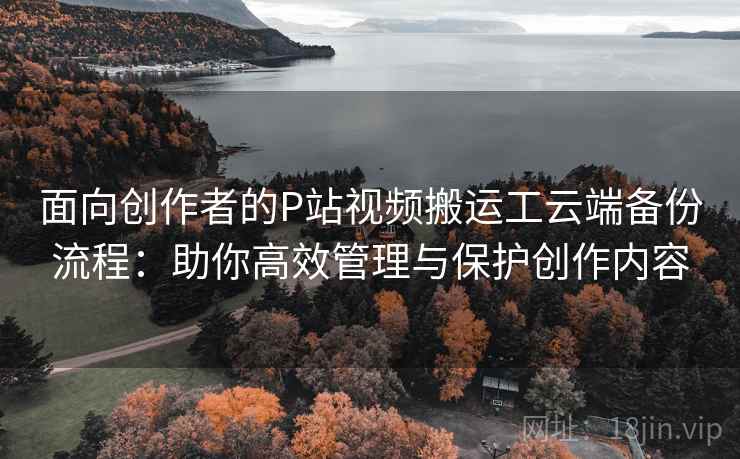 面向创作者的P站视频搬运工云端备份流程：助你高效管理与保护创作内容