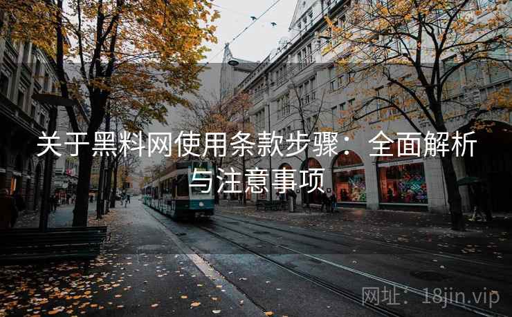 关于黑料网使用条款步骤:全面解析与注意事项 关于黑料网使用条款步骤:全面解析与注意事项
