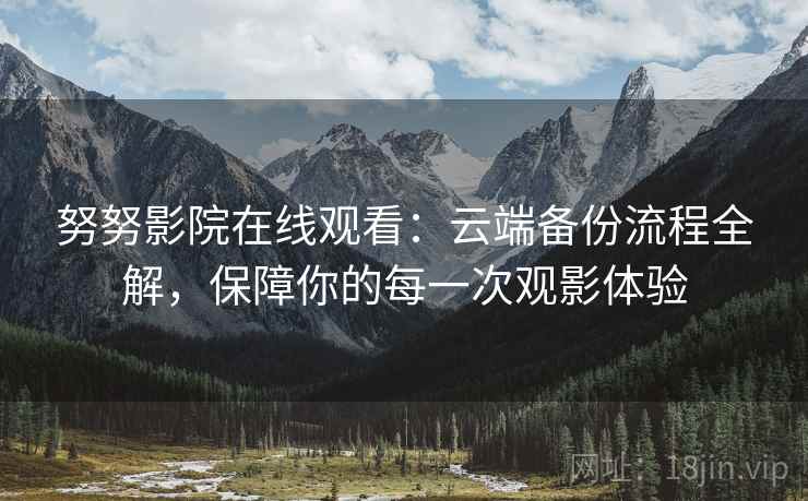 努努影院在线观看：云端备份流程全解，保障你的每一次观影体验