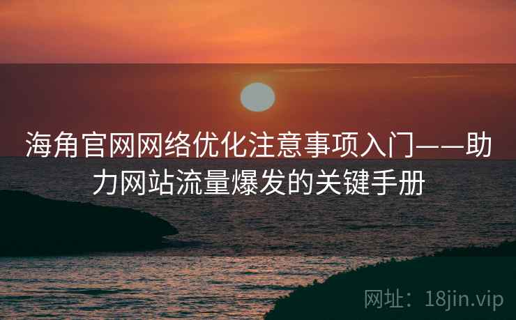 海角官网网络优化注意事项入门——助力网站流量爆发的关键手册