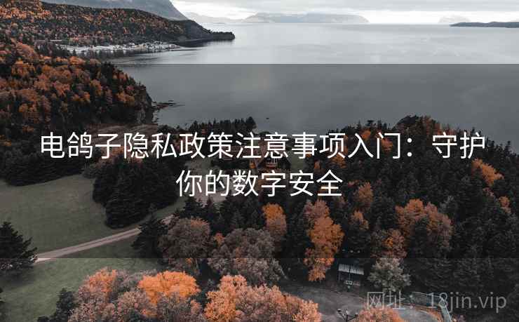 电鸽子隐私政策注意事项入门：守护你的数字安全