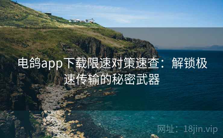 电鸽app下载限速对策速查：解锁极速传输的秘密武器